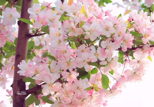 1458295514601251.jpg BaiduHi_2016-3-18_11-13-30.jpg