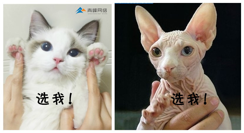 1461640770255409.jpg 20.jpg