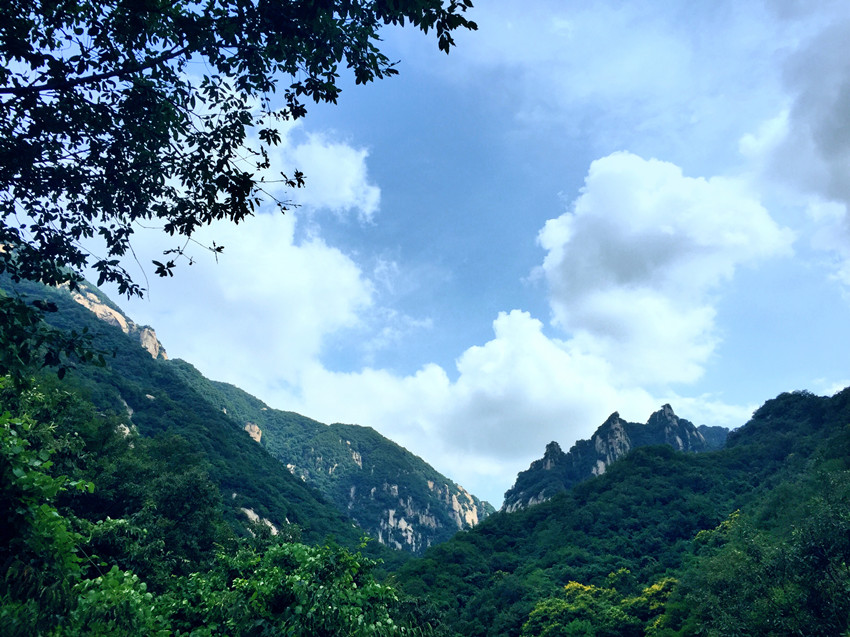 1468394507511542.jpg IMG_6911_副本.jpg