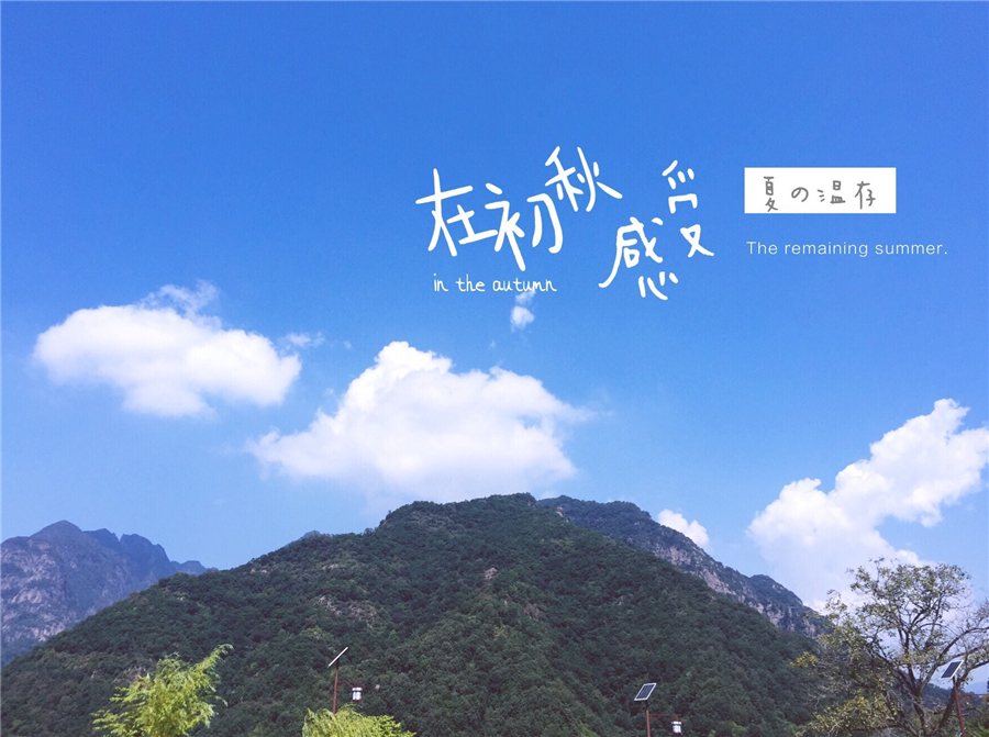 1474970947113801.jpg 2.jpg