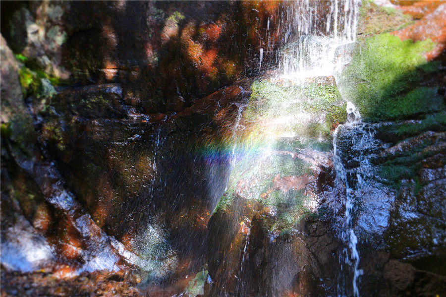 1474971355355484.jpg 6.jpg