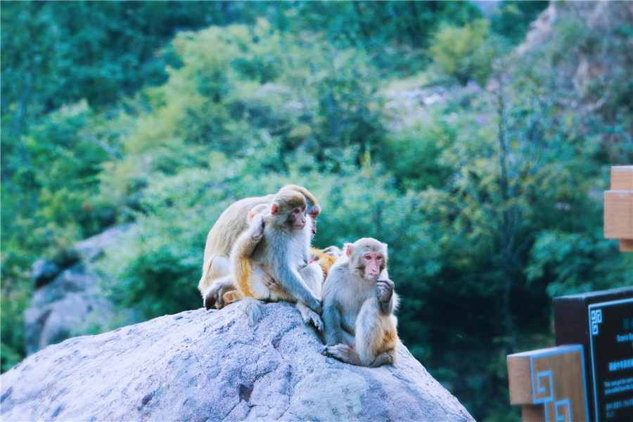 1474971411564789.jpg 778631649284375848.jpg