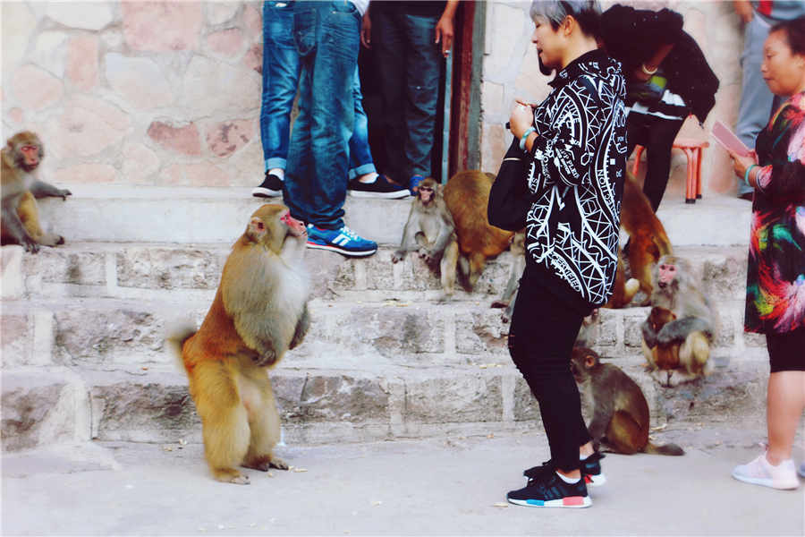 1474971468231466.jpg 581414285830448024.jpg