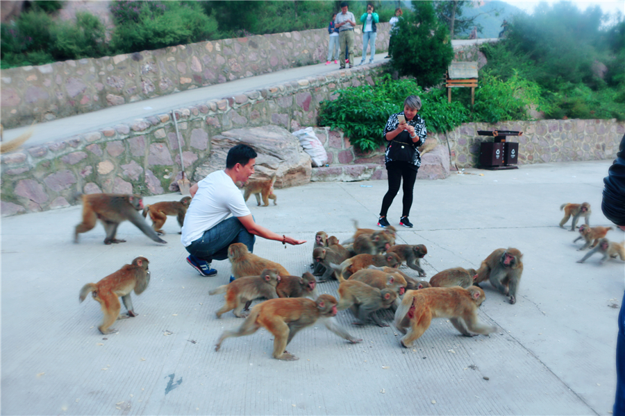 1475114719102194.jpg 523940336566715276.jpg